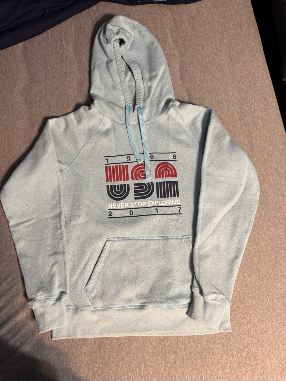 The North Face Light Blue Graphic Hoodie